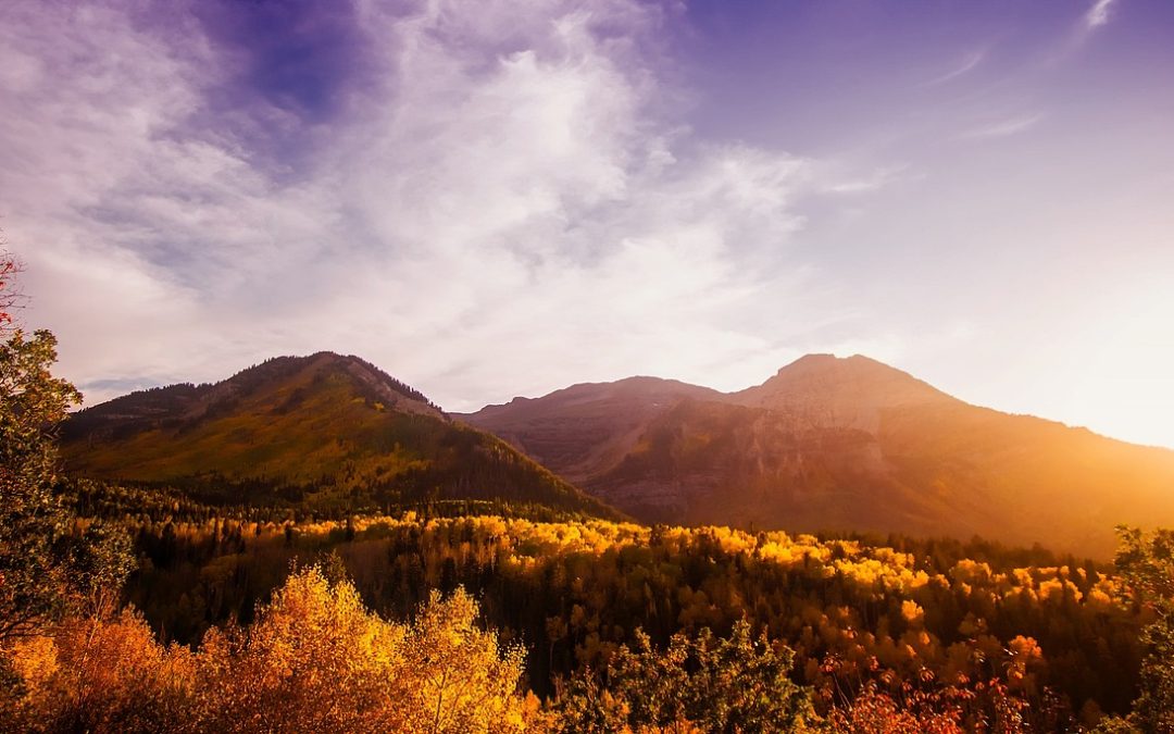 Golden autumn leaves in the La Sal Mountains near Moab, Utah, with the sun setting over rugged peaks and a colorful October sky.