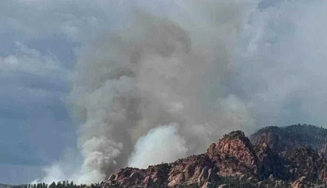 Fire in Zion National Park 2025