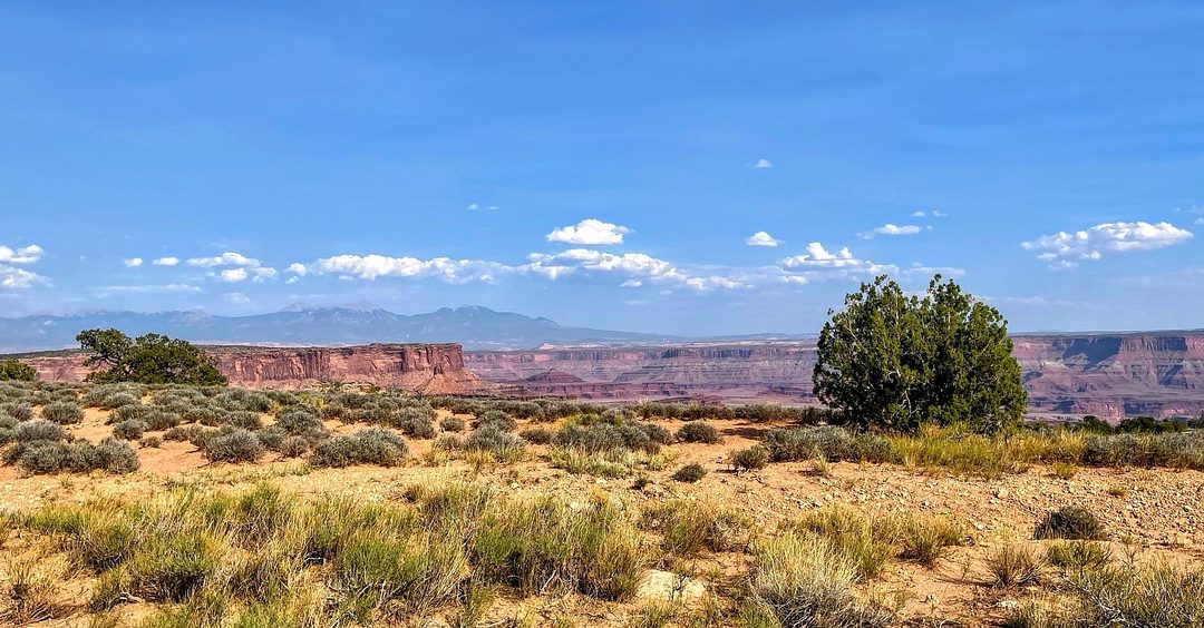 Is Canyonlands Open During the Shutdown? (2025 Update)